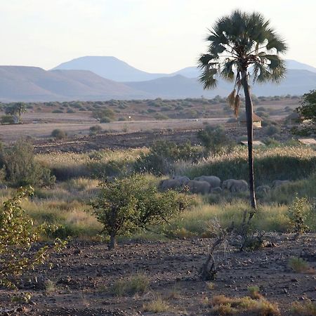 Palmwag Campsite Eksteriør bilde