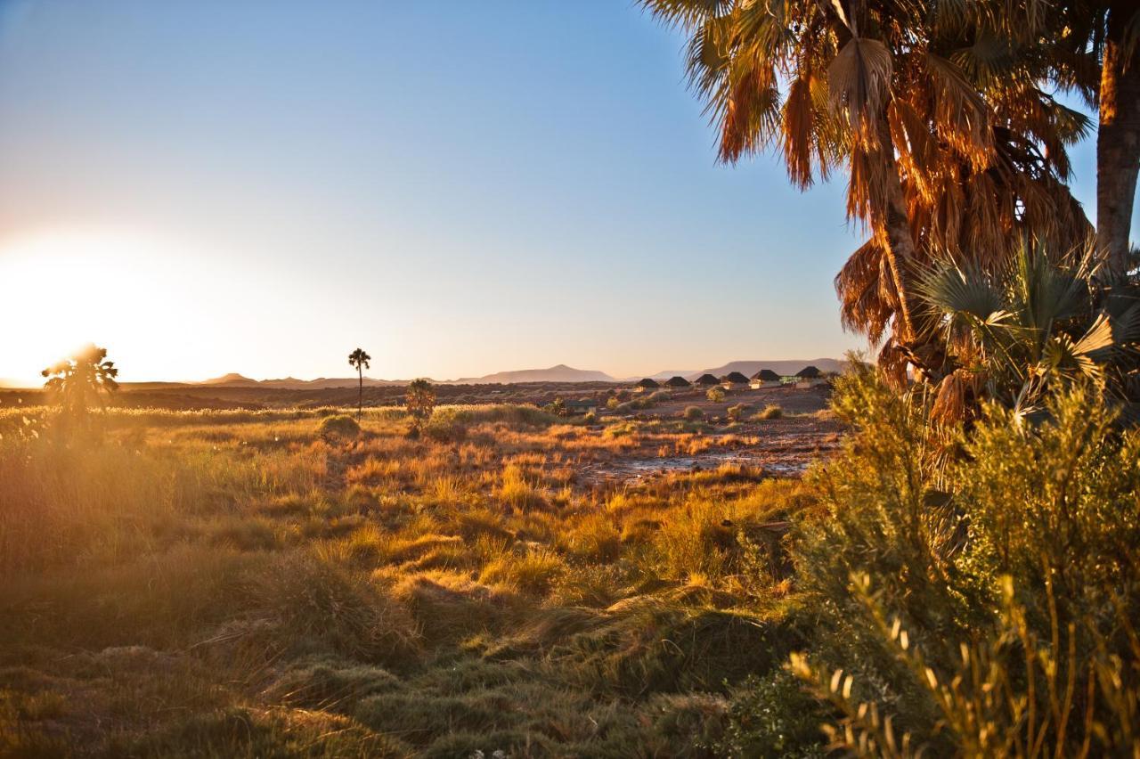 Palmwag Campsite Eksteriør bilde
