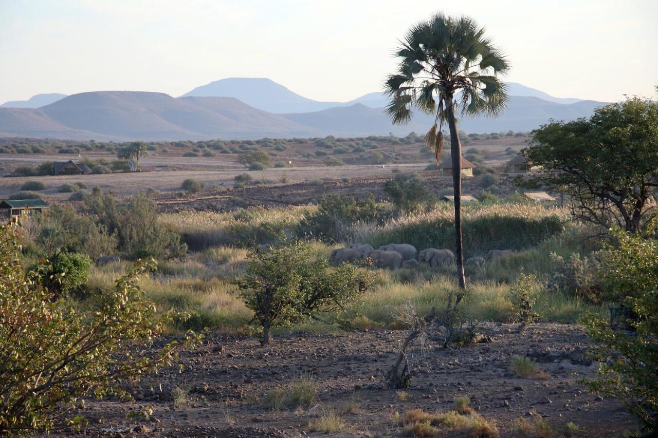 Palmwag Campsite Eksteriør bilde